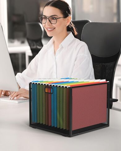 hueilm Hanging File Organizer, Mesh File Folder Box, Includes 14 Hanging Folders with Tabs, Letter-size Storage File Crate Filing Cabinet Organizer, 1 Pack, Large-Black in Saudi Arabia