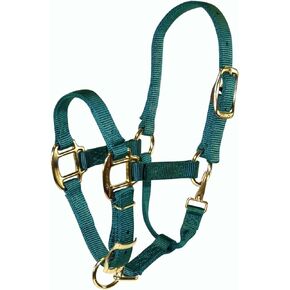 Hamilton Adjustable Quality 3/4-Inch Weanling Halter with Snap, 200 to 300-Pound Horse, Dark Green
