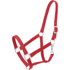 Tough 1 Economy Yearling Halter