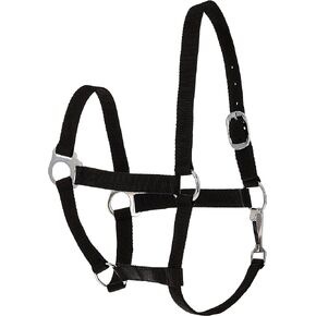 Tough 1 Economy Yearling Halter