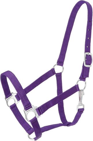 Tough 1 Economy Yearling Halter in Saudi Arabia