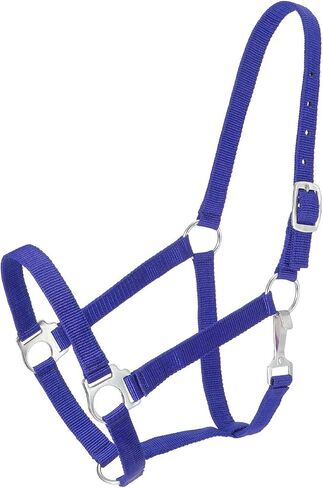 Tough 1 Economy Yearling Halter in Saudi Arabia