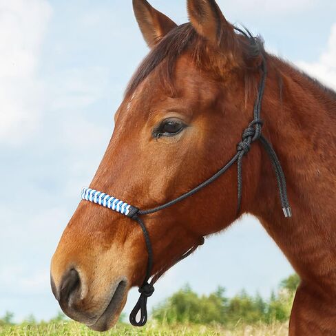 Harrison Howard Rope Halters for Horses Super Sturdy Horse Rope Training Hollow Out Style with 4 Knot 1/4" Stiff Halter Cord Standard in Saudi Arabia