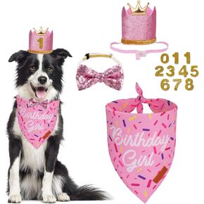 PTDECOR Dog Birthday Party Supplies, Multi Size Birthday Boy Bandana，Blue Crowns Birthday Dog Hat Set for Medium Large Pets (Large)