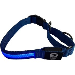 Light-Up Martingale Training Adjustable Dog Collar – Waterproof, LED Illuminated, USB Rechargeable, Reflective Safety, Durable Nylon (Blue, Extra Large)