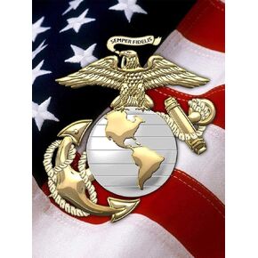 عام diypainting 5d DIY Diamond Art Painting Us Marine C Corps 12x16 مثقابًا كاملًا للحفر الجولة الكريستالية التطريز صور التطريز الفني للهدية ديكور الجدار المنزلي ، DIYDECOR001