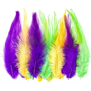 Hoyuwak 300 PCS Mardi Gras الريش 6-8 بوصة ريش الديك الأكبر ملون Mardi Gras Rooster Roster for Craft Party Jewelry Costume Decoration (صفراء اللون الأخضر) in Kuwait
