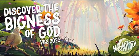 Lifeway Kids VBS 2025 Magnified! Promotional Banner in Kuwait