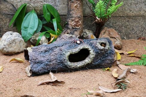 Reptile Hides Resin Hollow Tree Trunk Hideout – Reptile and Amphibians Caves. Premium Non-Toxic Decorative Resin for Terrariums. Ideal for Lizards,Snakes,Geckos,Frogs,Spiders,Scorpions... Large Size in Saudi Arabia
