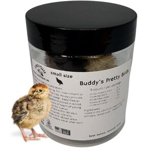 Whole Quail for Carnivore Pets - Premium Quality Natural Pet Treats Quail - Natural Prey Feeding Quail - Freeze-Dried for Essential Nutrients and Enzymes - Quality Protein Source Small Size 5 Count