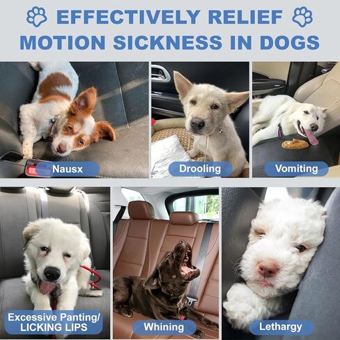 Anti Car Sickness for Dogs, 20 Tablets, Dog Motion Sickness Medicine to Relieve Nausea, Vomiting, Drooling, Working Quickly Motion Sickness for Dogs, Effective for About 24 Hours in Kuwait