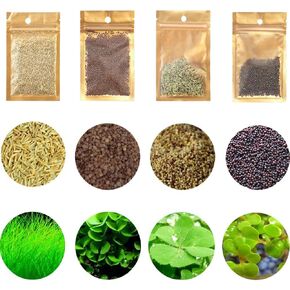 4 Aquarium Plants S.e.e.d Set, not Artifical, Fish Tank Decor Replacement for Resin or Plastic Grass