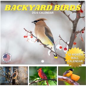 Backyard Birds Calendar 2025 | Home and Office Organization | 12" x 18" (Opened) Grid Calendar 2025 for Easy Appointment Tracking & Scheduling | Stunning Bird Photography on Premium Paper | Birds Wall Calendar 2025