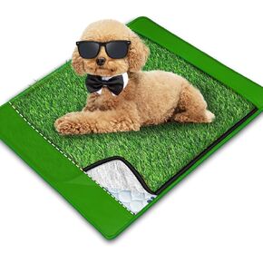 Dog Grass Mat with Pee Pad 20×25", Small Dog Litter Box Indoor Artificial Turf Grass Porch Waterproof Patio Potty Tray for Doggie Reusable Washable and Lawn for Replacement Puppy Training