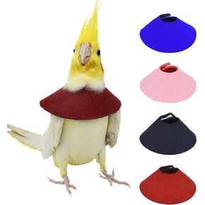 Qlev 4pack Pet Pet Parrot anti-bite e-dollars ، anti-grab feather نتف الجروح الشفاء السلامة إليزابيثان ، مخاريط الانتعاش الواقية لـ Budgerigar Lovebird Agapornis fischer cockato cockatoo