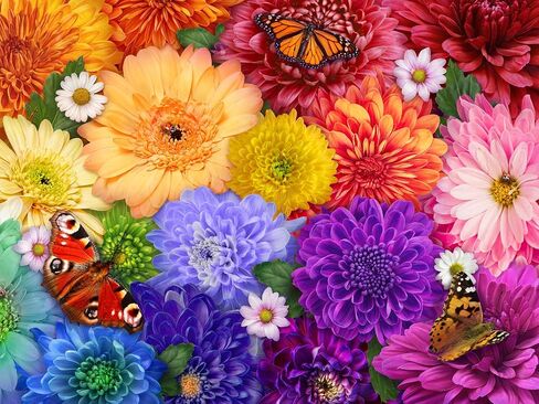 Ceaco - Flower Spectrum - 300 Oversized Piece Jigsaw Puzzle in Saudi Arabia