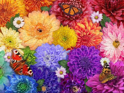 Ceaco - Flower Spectrum - 300 Oversized Piece Jigsaw Puzzle in Saudi Arabia