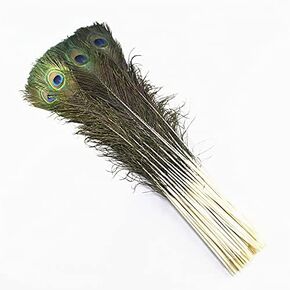 10pcs Long Natural Peacock Feathers 20-24" for Tall Vases Home Decorations Christmas Decor