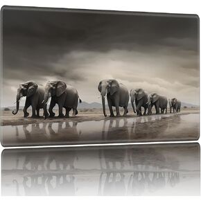 Playmat for MTG ، حصيرة اللعبة 27.5 × 15.74 بوصة ، ودعم غير متكافئ TCG وحصيرة ألعاب اللوح للبطاقات ، والفطر المكتبي Mousepad Skull