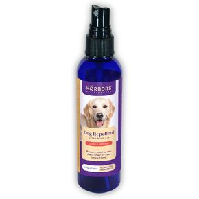 Harbor's Stay Away Spray | Trains Your Pet Where Not to Urinate | Training Corrector for Puppies & Dogs | for Indoor & Outdoor Use | No More Marking | Made in The USA (4 Ounce)