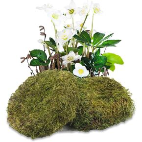 2 Pcs Round Floral Foam Blocks Green Moss Balls for Bowls Bulk Wet Dry Floral Plant Foam Block 5.5" Natural Preserved Pillow Moss for Craft Florist Easter Table Flower Arrangement DIY Decor