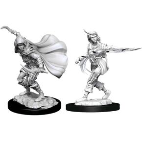 Pathfinder Deep Cuts: Human Rogue Female