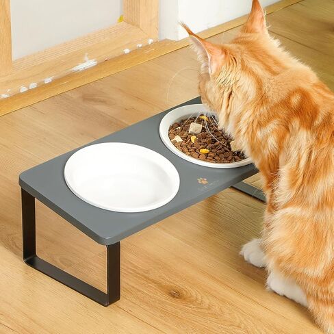 Sunhoo Elevated Cat Bowls for Indoor Cats Ceramic Kitty Dish Food Water Raised Tilted Puppy Feeding Sation with 4 Dishes Wooden Stand Pet Feeder Metal Legs Orthopedic Anti Vomiting（Brown） in Kuwait