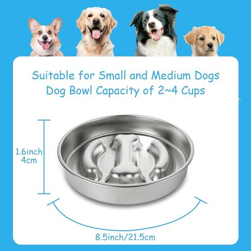 2 عبوة بطيئة مغذية الكلب أوعية الفولاذ المقاوم للصدأ وعاء الكلب بطيئة ، 3 أكواب المعادن غير قابلة للانزلاق الأوعية الأوعية الأوعية in Kuwait