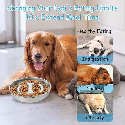 2 عبوة بطيئة مغذية الكلب أوعية الفولاذ المقاوم للصدأ وعاء الكلب بطيئة ، 3 أكواب المعادن غير قابلة للانزلاق الأوعية الأوعية الأوعية in Kuwait