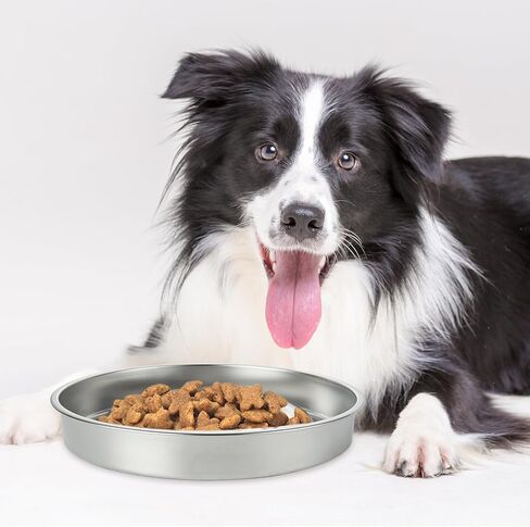 2 عبوة بطيئة مغذية الكلب أوعية الفولاذ المقاوم للصدأ وعاء الكلب بطيئة ، 3 أكواب المعادن غير قابلة للانزلاق الأوعية الأوعية الأوعية in Kuwait