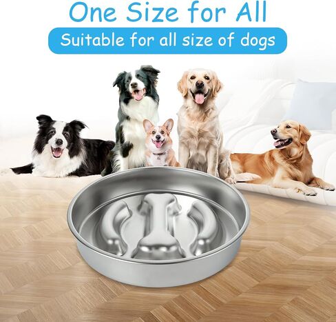 2 عبوة بطيئة مغذية الكلب أوعية الفولاذ المقاوم للصدأ وعاء الكلب بطيئة ، 3 أكواب المعادن غير قابلة للانزلاق الأوعية الأوعية الأوعية in Kuwait