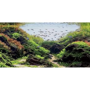 AWERT 36x24 inches Stone Aquarium Background Aquatic Plant River Bed & Lake Fish Tank Background Seaweed Fish Tank Background Vinyl Background