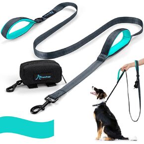 PuppyDoggy Dog Leash for Large Medium Dogs 6Ft x 1" Reflective Stitching Large Leash 2 Traffic Padded Handles Dog Leash with 1 Piece Poop Bag Dispenser Holder for Running Walking Training (All Black)