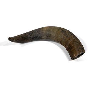 |100% Natural Cattle Horn |Dog Chew Toy |Long Lasting Treat |Fully Digestible |Gluten Free |Grain Free |Free Range| Grass Fed| for Aggressive Chewers |Dental Care |Large
