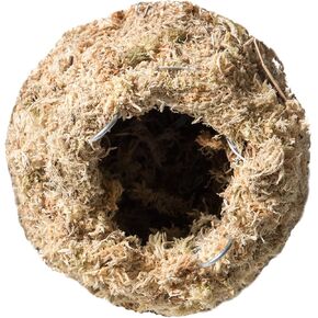 Galápagos (05349) Mossy Cave Hide ، 6 "، sphagnum الأشقر