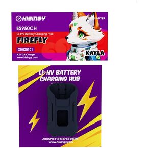 Drone Battery Charger for Firefly Collection,Type-C Portable Charger,4.2V 2A Charger,Fast Charging,High Power Density