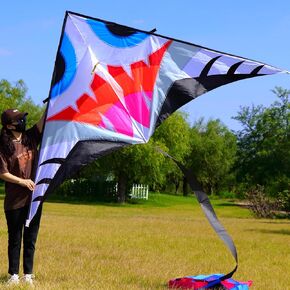 Giant Single Line Beach Kite, 110" with 99' Kite Tail for Adults