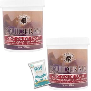 Equiderma ( 2 Pack) Zinc Oxide Paste 16oz for Pastern Dermatitis and Sunburn with 10ct Pet Wipes