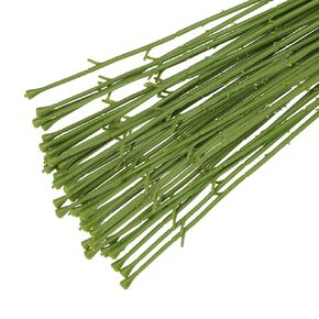 PATIKIL 12.6Inch Floral Stem Wire Plastic Floral Wire Branches Artificial Flower Rod for Flower Arrangements Green 100 Pack