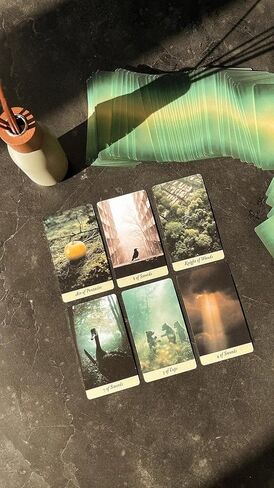Bird King Tarot, Tarot Cards Deck with Guidebook for Beginners to Experts (in PDF), 78-Card Deck + Extras, Premium Quality Tarot Deck About Nature in Saudi Arabia