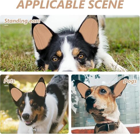 VANZACK DOG EAR STAND STANCER TOUR TOUND DOG DOG CORCENTION SELTICAL COLD DOG DOG COOV in Kuwait