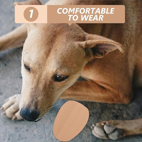 VANZACK DOG EAR STAND STANCER TOUR TOUND DOG DOG CORCENTION SELTICAL COLD DOG DOG COOV in Kuwait