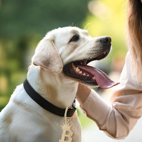 Tallew Dog Pet ID Tag, Letter Shapes Dog Collar Charm Name Tags Pet Personalized Dog Tag with Bling Rhinestones for Most Anti Lost Collar for Christmas Birthday Party Daily Decorations Gift in Saudi Arabia