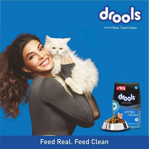 Drools Kitten Dry Cat Food Ocean Fish, 8.82lb (6.62lb + 2.21lb Free) – Sardine, Mackerel, Omega Fatty Acids for Growth, Health, Skin, Coat & Urinary Health in Saudi Arabia