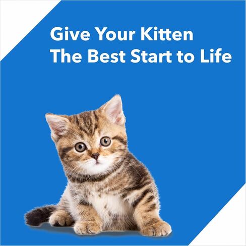 Drools Kitten Dry Cat Food Ocean Fish, 8.82lb (6.62lb + 2.21lb Free) – Sardine, Mackerel, Omega Fatty Acids for Growth, Health, Skin, Coat & Urinary Health in Saudi Arabia
