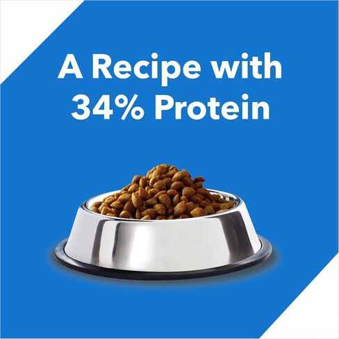 Drools Kitten Dry Cat Food Ocean Fish, 8.82lb (6.62lb + 2.21lb Free) – Sardine, Mackerel, Omega Fatty Acids for Growth, Health, Skin, Coat & Urinary Health in Saudi Arabia
