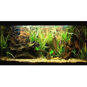 Natural Tropical Biotope Aquarium Background Aquatic Plants Stone Bed Fish Tank Background Undersea Tropical Aquatic Wood Branches Terrarium Background Vinyl 24x12in