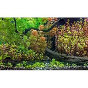 Underwater Aquarium Backdrop Grass Leaves with Pebbles Exquisite Aquarium Background Vivid Green Aquatic Plant Stone River Bed Fish Dead Wood Fresh Leaves Tank Background Decors Vinyl 48x18in