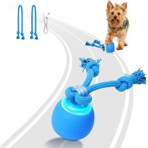 Interactive Dog Toys, Moving Dog Ball with Touch Activated, Squeaky Dog Toy, Active Rolling Ball for Puppy and Medium Dogs, Wicked Ball, USB Rechargeable