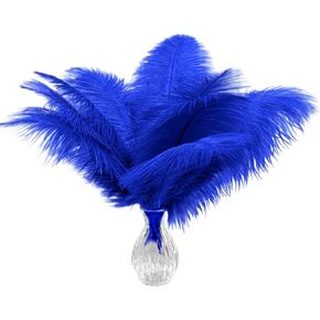 Piokio 10pcs Natural Blue Ostrich Feathers 10-12 inch (25-30cm) Bulk Feathers for Home Decoration and DIY Clothes Decoration, Gatsby Decorations